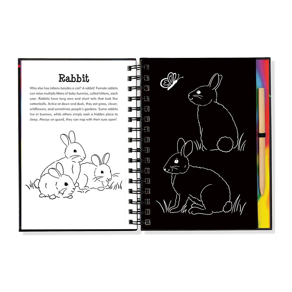 Peter Pauper Press Scratch & Sketch Orman Arkadaşları