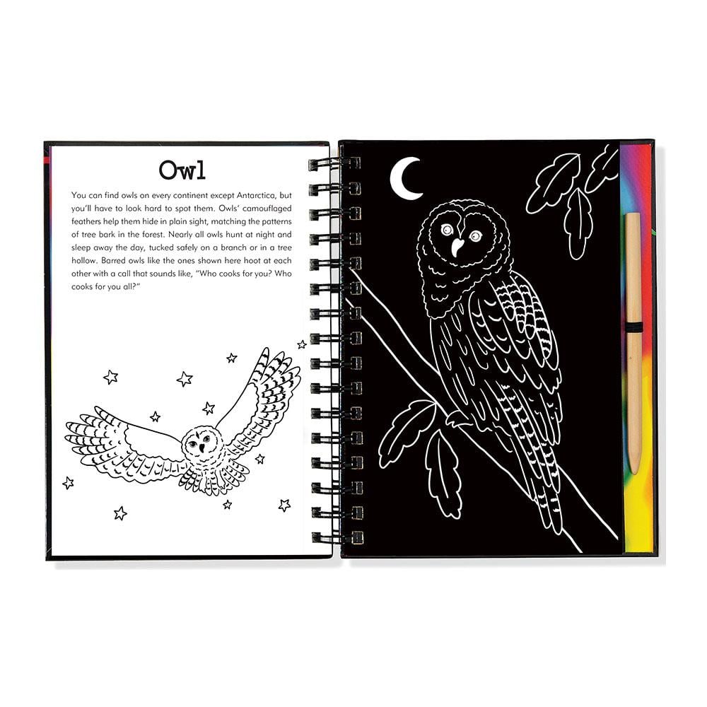 Peter Pauper Press Scratch & Sketch Orman Arkadaşları