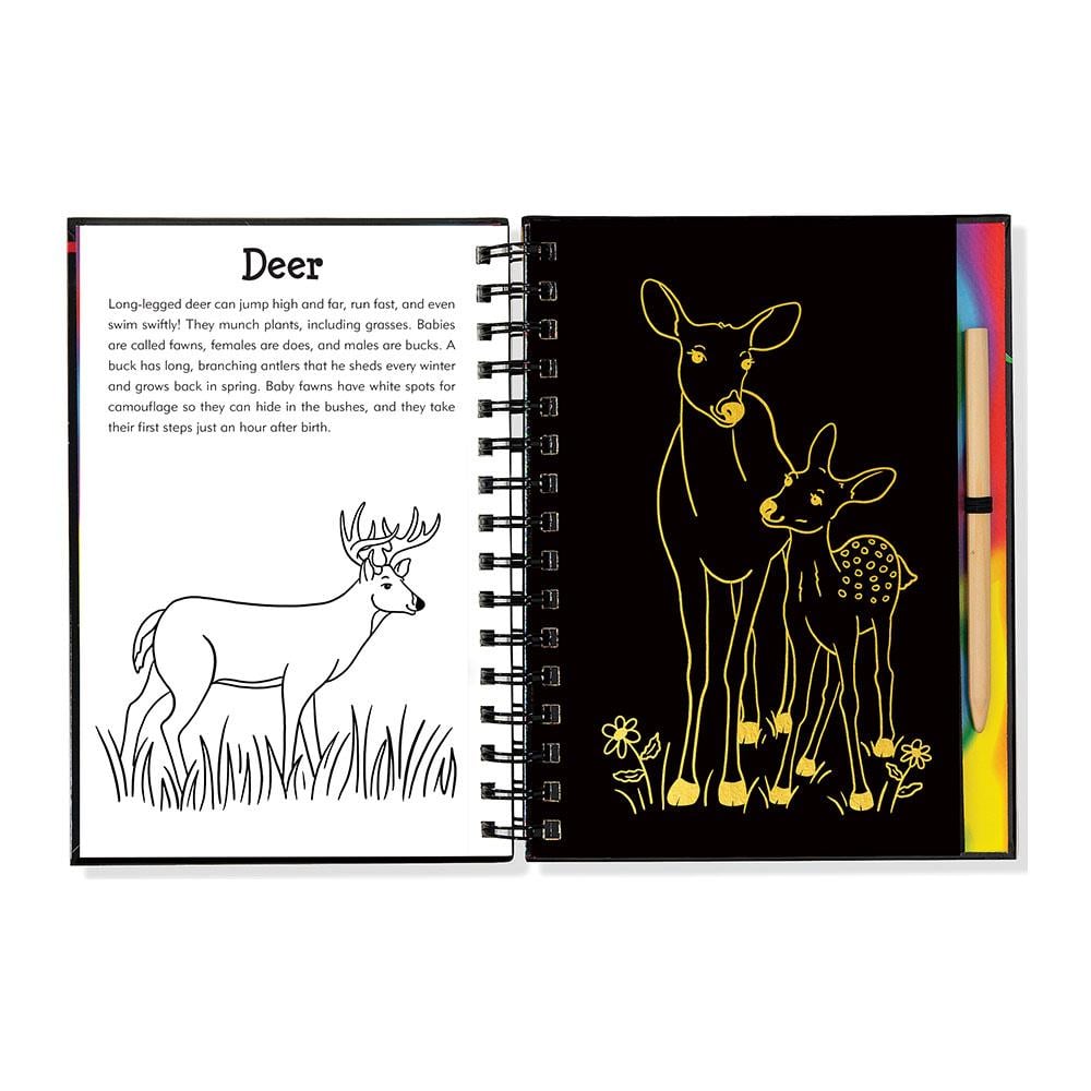 Peter Pauper Press Scratch & Sketch Orman Arkadaşları