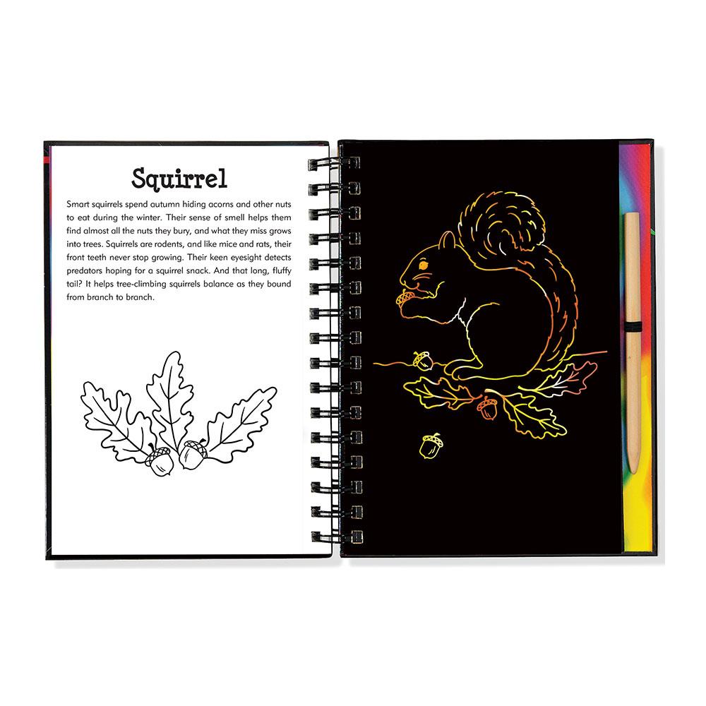 Peter Pauper Press Scratch & Sketch Orman Arkadaşları