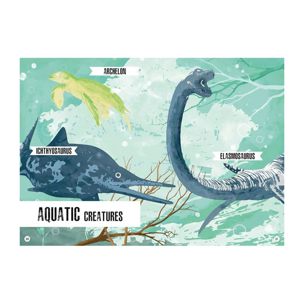 Sassi Junior Book & 3D Model Stegosaurus