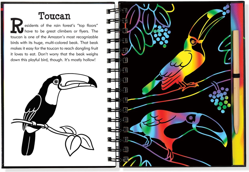 SCRATCH & SKETCH - YAĞMUR ORMANI