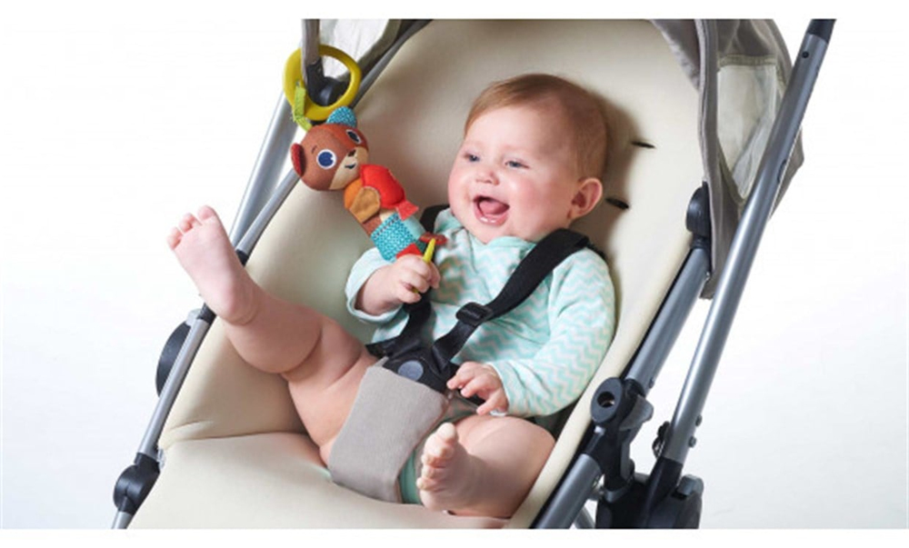 Tiny Love İsaac Çıngırak