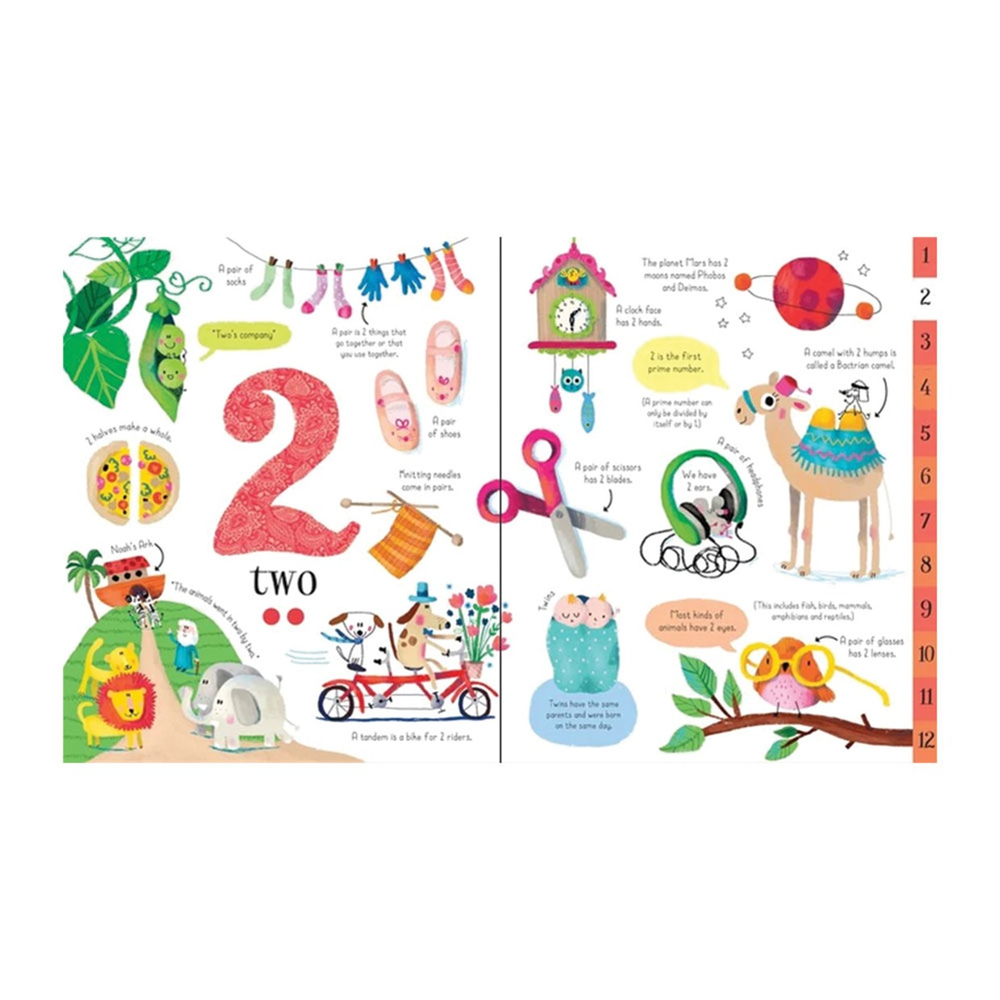 Usborne Big Book of Numbers
