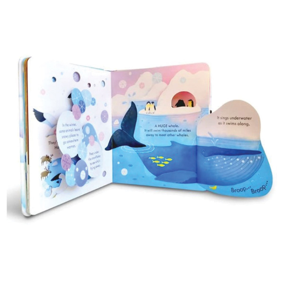 Usborne Peep Inside Snowy Places