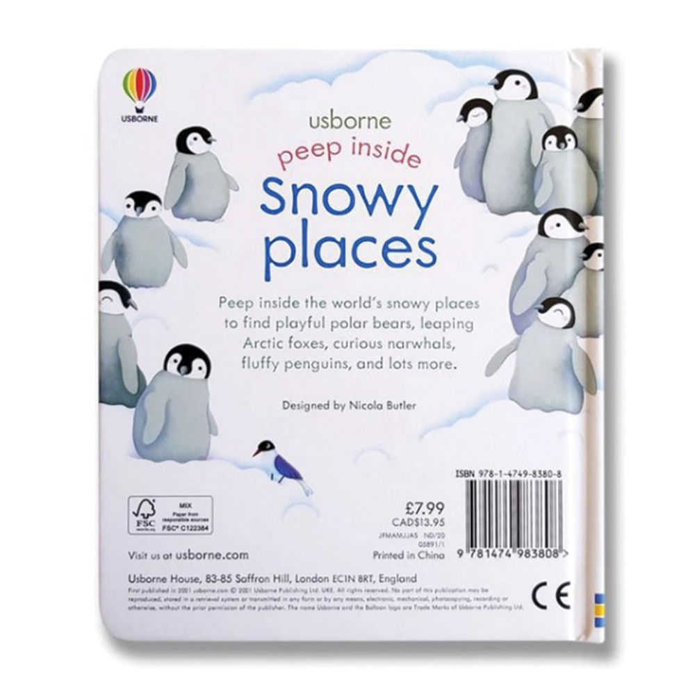 Usborne Peep Inside Snowy Places