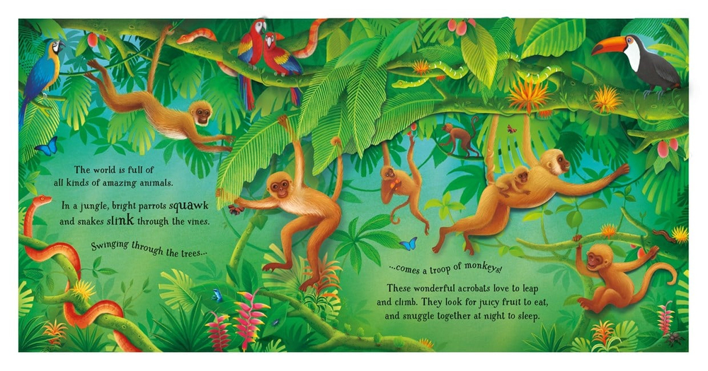 Usborne Pop-Up Animals