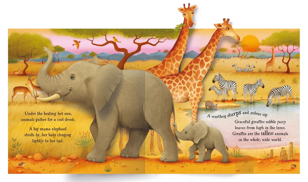 Usborne Pop-Up Animals