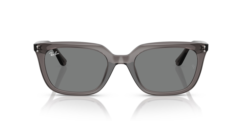 RAY-BAN 0RB4439D 667587 54