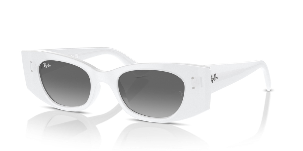 RAY-BAN 0RB4427 675911 49
