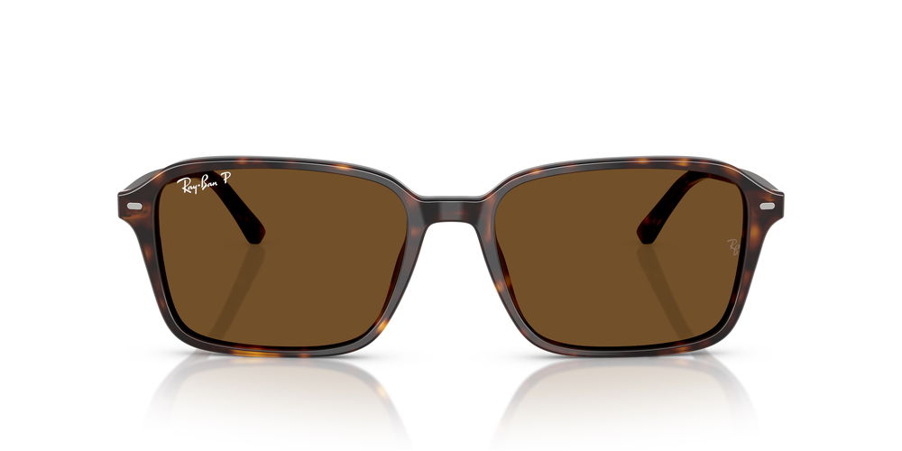 RAY-BAN 0RB2231 902/57 56
