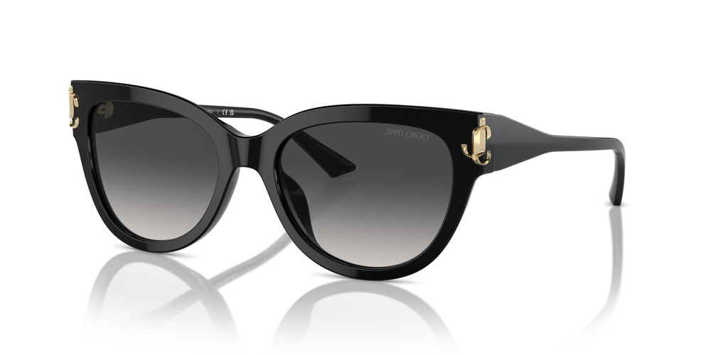 JIMMY CHOO 5018U 50008G 54 Kadın Güneş Gözlüğü