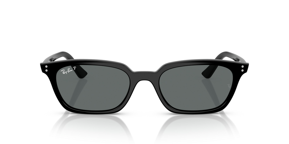 RAY-BAN 4456 667781 50