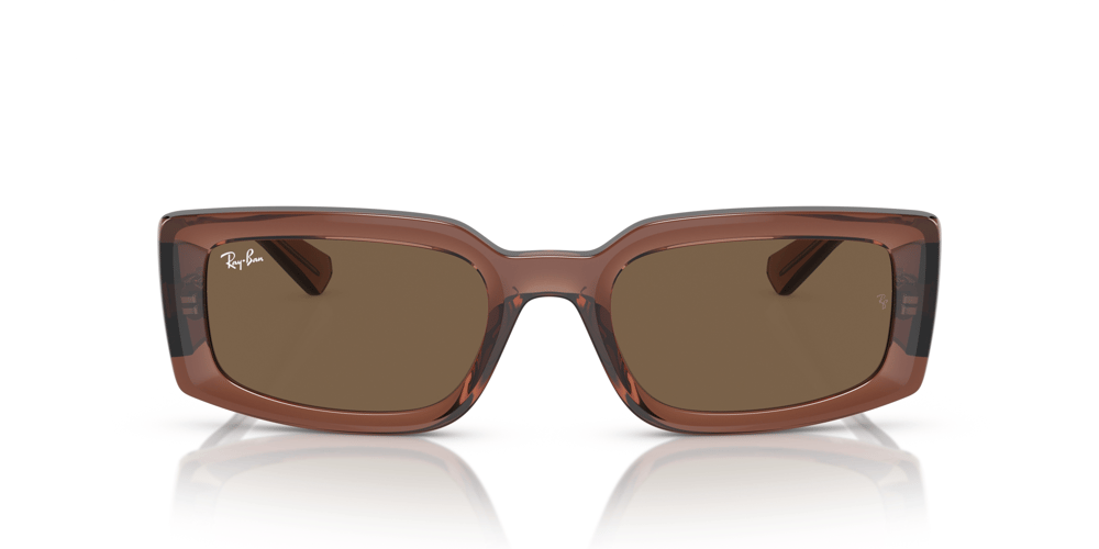 RAY-BAN 0RB4395 667873 54