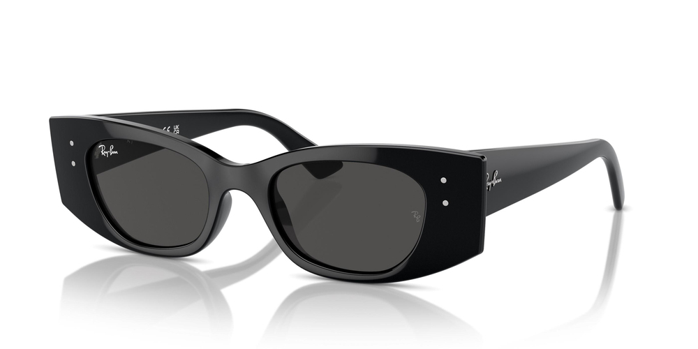 RAY-BAN 0RB4427 667787 49