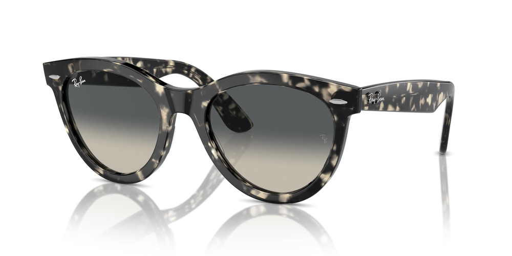 RAY-BAN 2241 133371 54