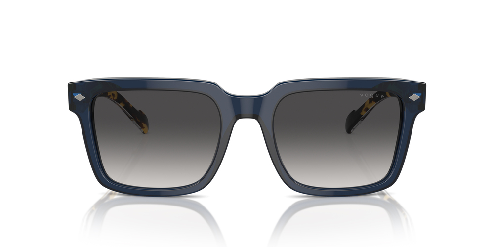 VOGUE 0VO5573S 31438G 55