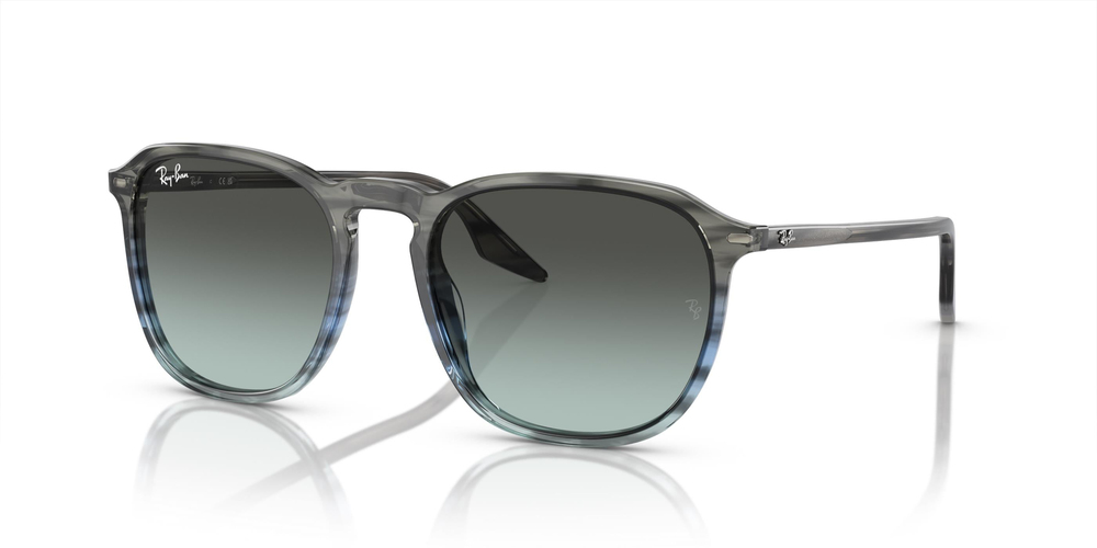 RAY-BAN 2203 1391GK 52