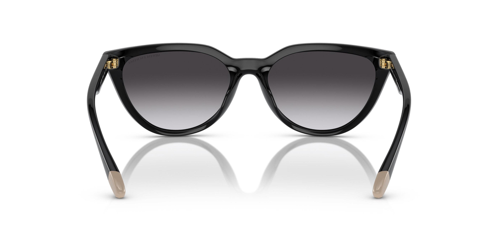 ARMANI EXCHANGE 0AX4130SU 81588G 56 WOMEN Güneş gözlükleri