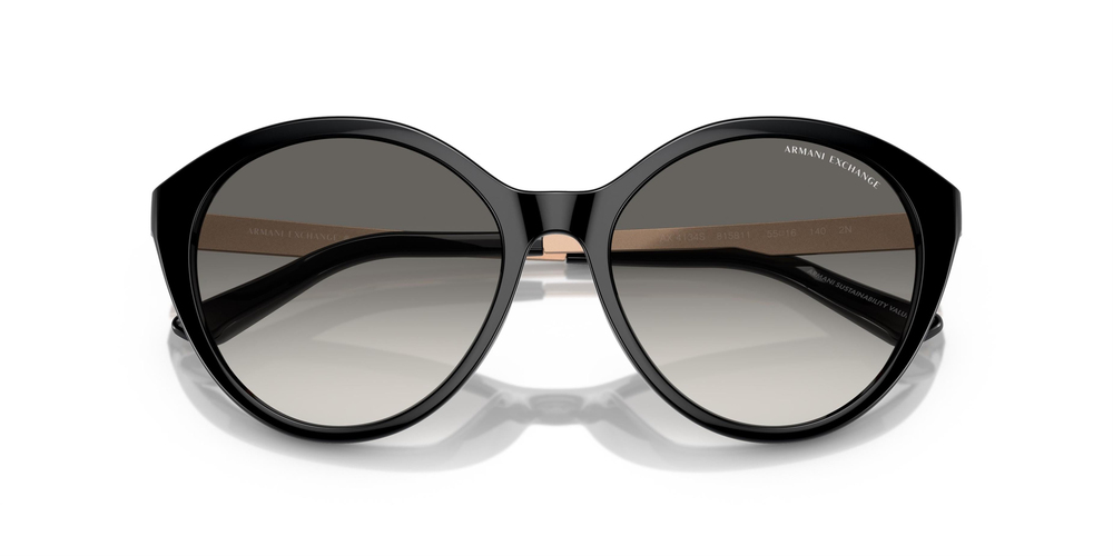 ARMANI EXCHANGE 0AX4134S 815811 55 WOMEN Güneş gözlükleri