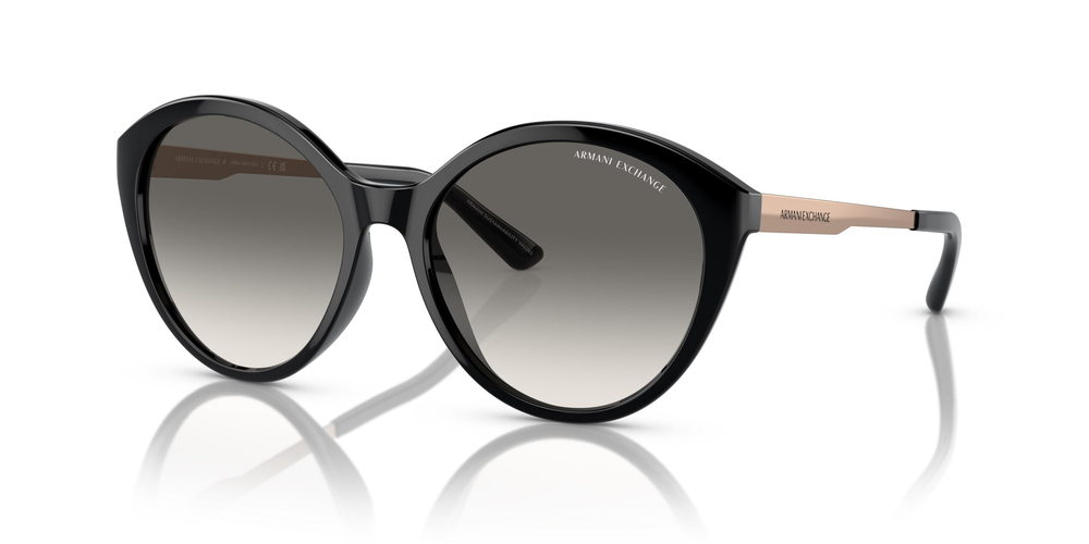 ARMANI EXCHANGE 0AX4134S 815811 55 WOMEN Güneş gözlükleri
