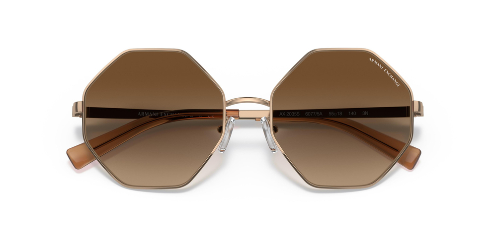 ARMANI EXCHANGE AX 2035S 610313 55 WOMEN Güneş gözlükleri