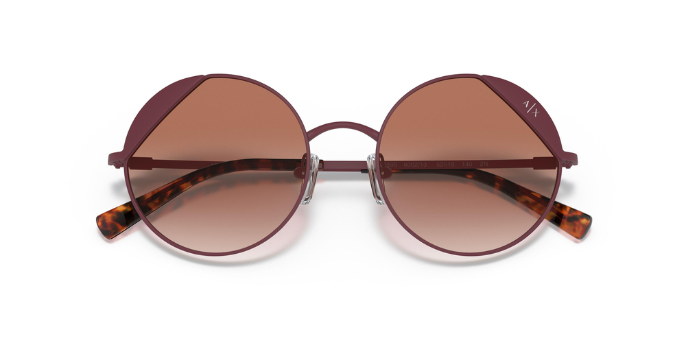 ARMANI EXCHANGE AX 2039S 600213 52 WOMEN Güneş gözlükleri