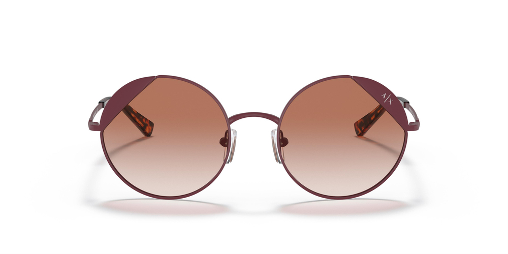 ARMANI EXCHANGE AX 2039S 600213 52 WOMEN Güneş gözlükleri