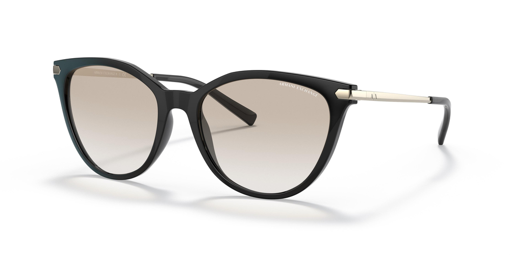 ARMANI EXCHANGE 4107S 815811 55 UNİSEX Güneş gözlükleri