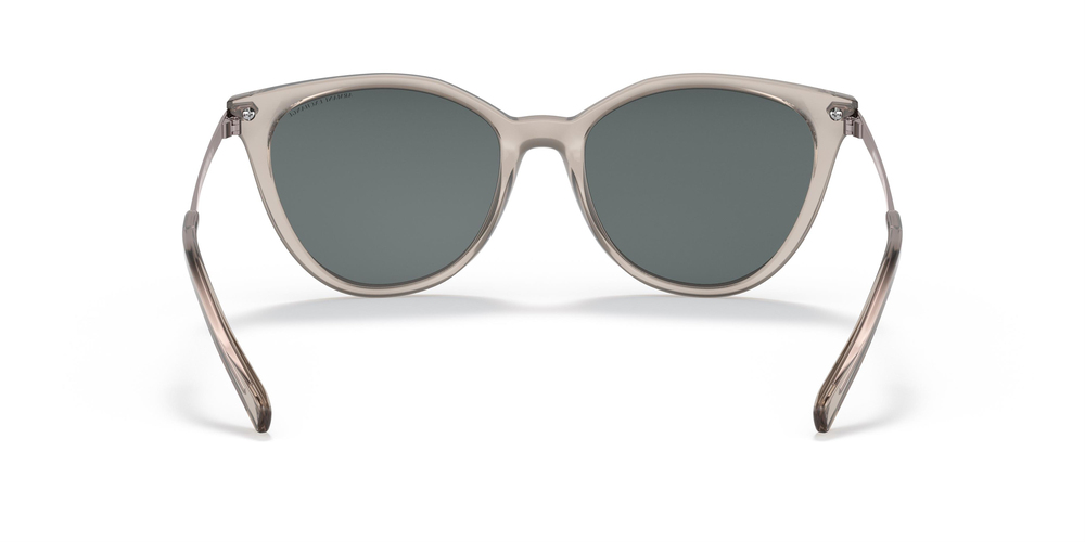 ARMANI EXCHANGE 4107S 82404Z 55 UNİSEX Güneş gözlükleri