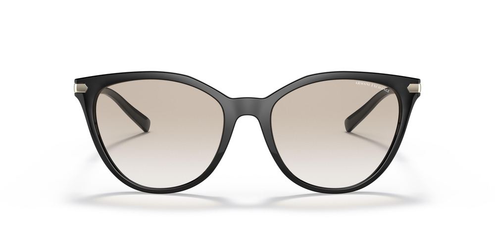 ARMANI EXCHANGE 4107S 815811 55 UNİSEX Güneş gözlükleri