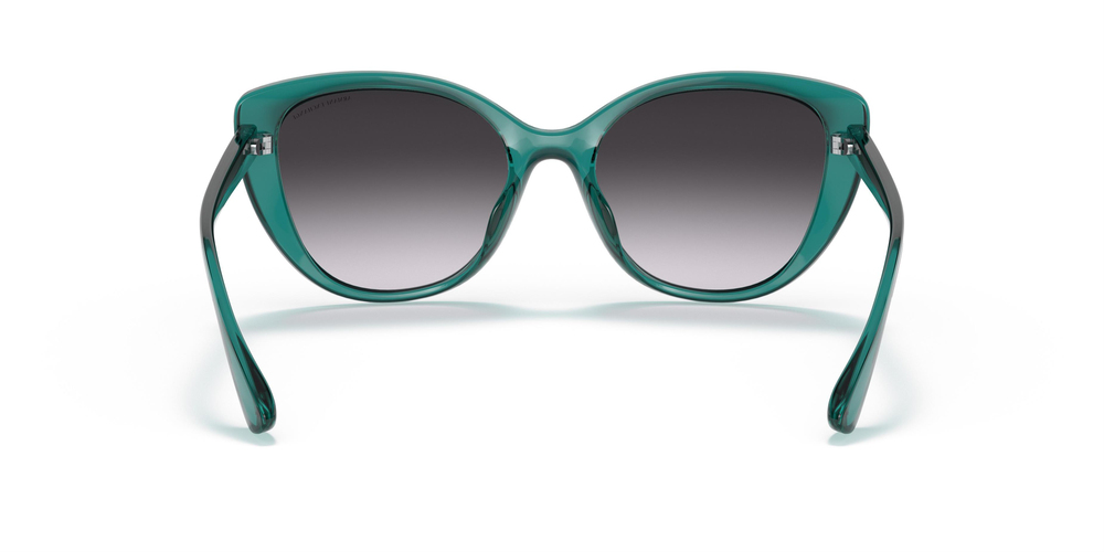 ARMANI EXCHANGE 4111SU 82908G 54 WOMEN Güneş gözlükleri