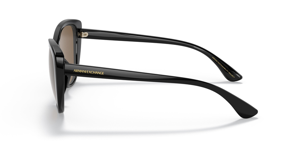 ARMANI EXCHANGE AX 4111SU 815873 54 WOMEN Güneş gözlükleri