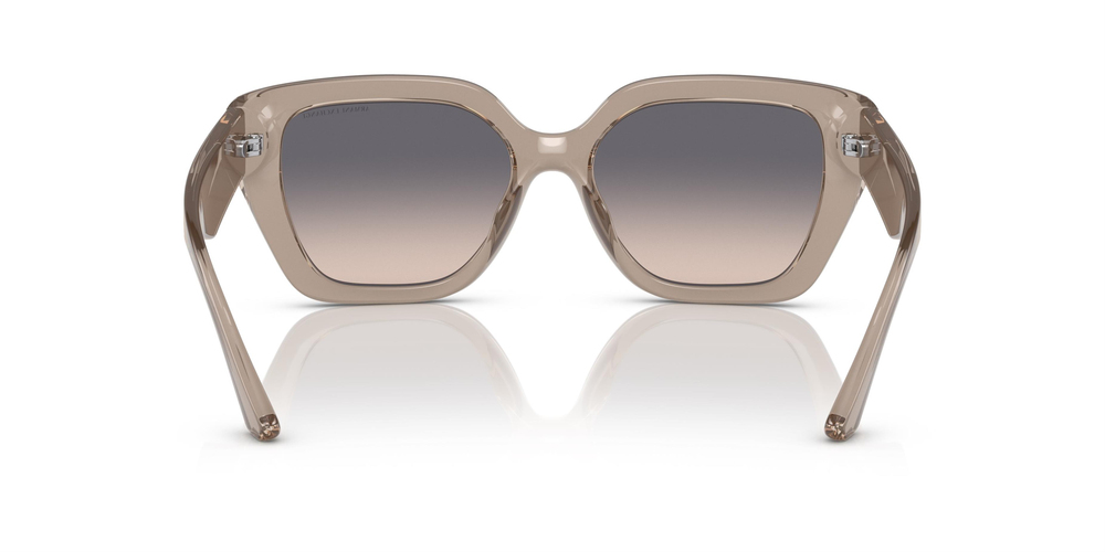 ARMANI EXCHANGE 4125SU 8340V6 54 WOMEN Güneş gözlükleri