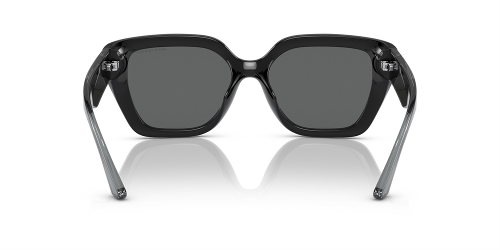 ARMANI EXCHANGE 4125SU 815887 54 WOMEN Güneş gözlükleri