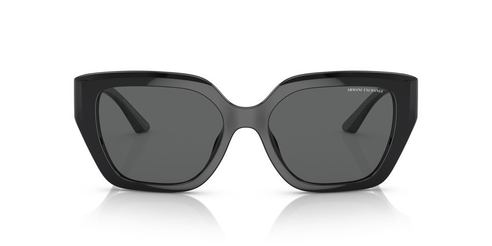 ARMANI EXCHANGE 4125SU 815887 54 WOMEN Güneş gözlükleri