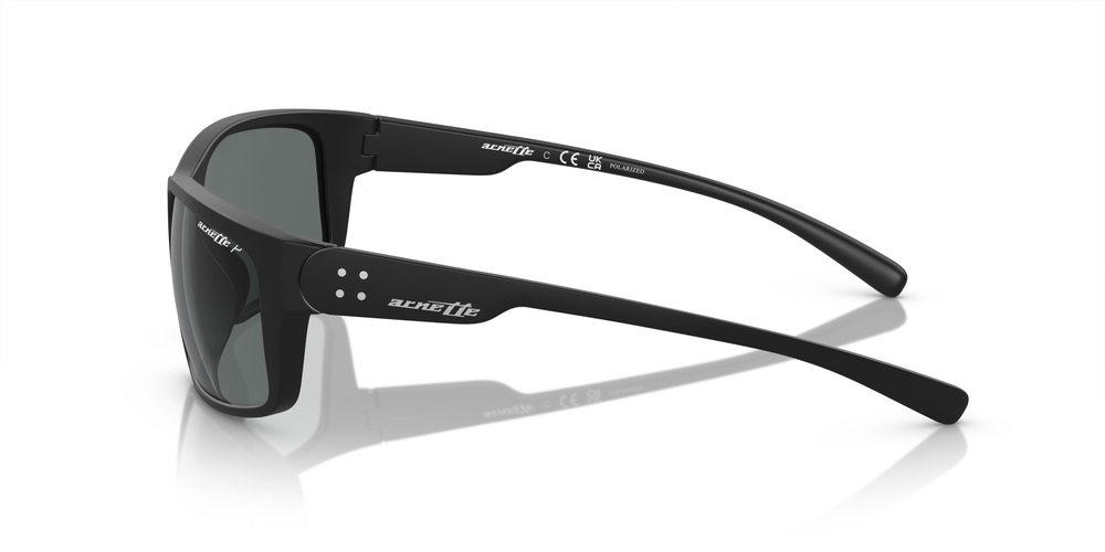 ARNETTE 0AN4242 01/81 62 ERKEK Güneş gözlükleri