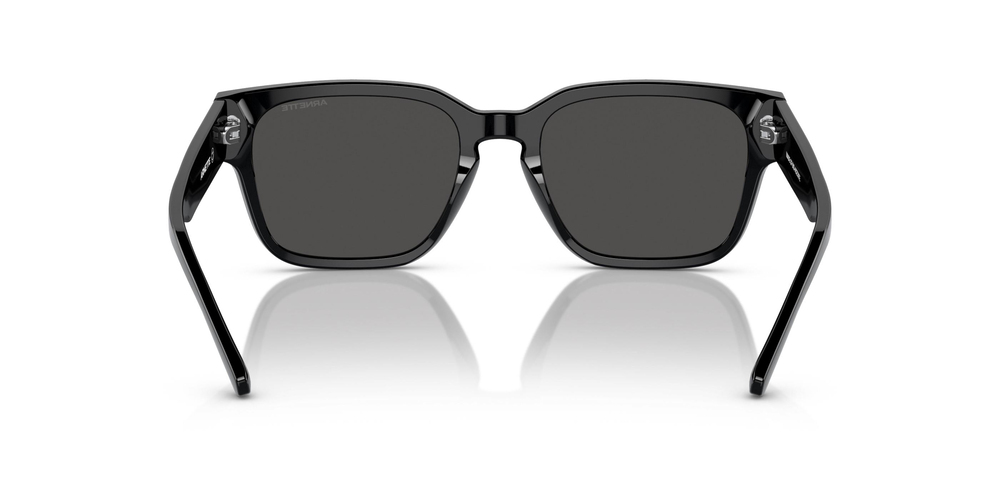 ARNETTE 0AN4294 121487 54 MEN Güneş gözlükleri