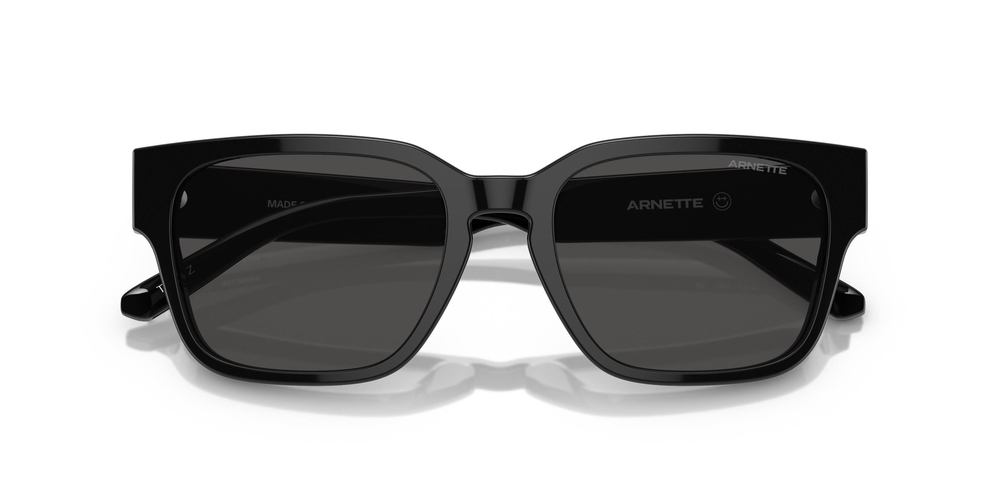 ARNETTE 0AN4294 121487 54 MEN Güneş gözlükleri