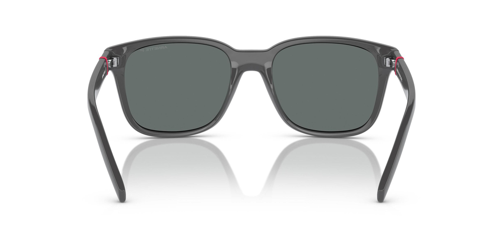 ARNETTE 0AN4320 287081 55 MEN Güneş gözlükleri