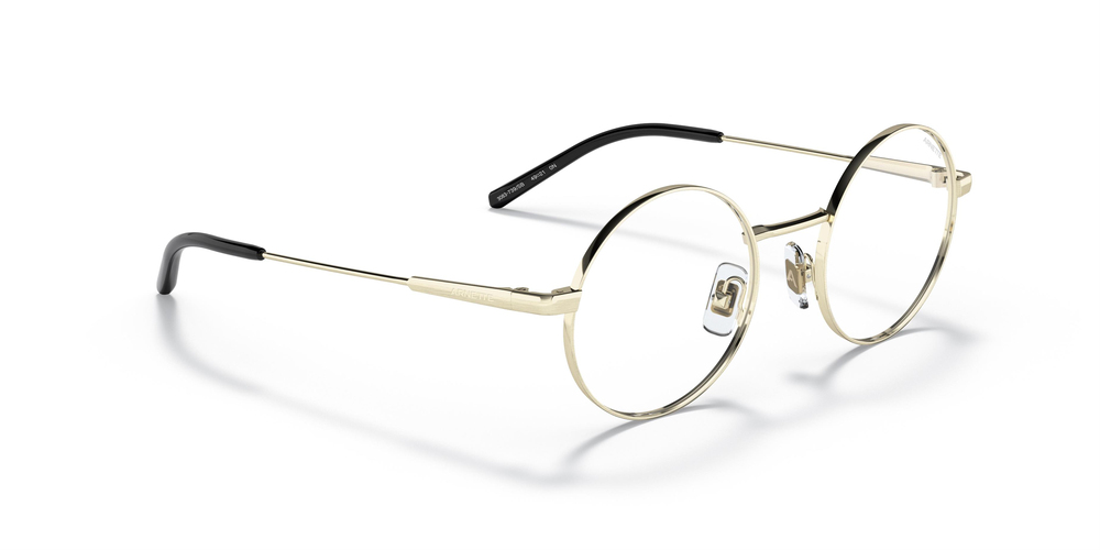 ARNETTE AN 3083 739SB 49 UNİSEX Güneş gözlükleri