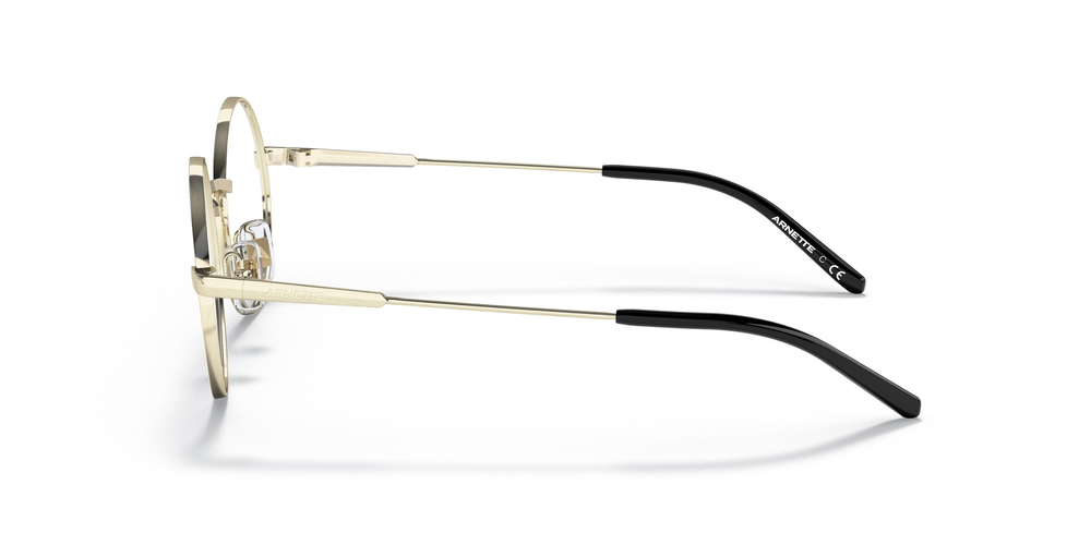 ARNETTE AN 3083 739SB 49 UNİSEX Güneş gözlükleri