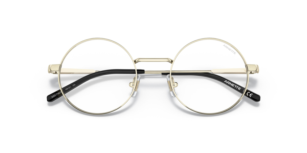 ARNETTE 3083 739SB 49 UNİSEX Güneş gözlükleri