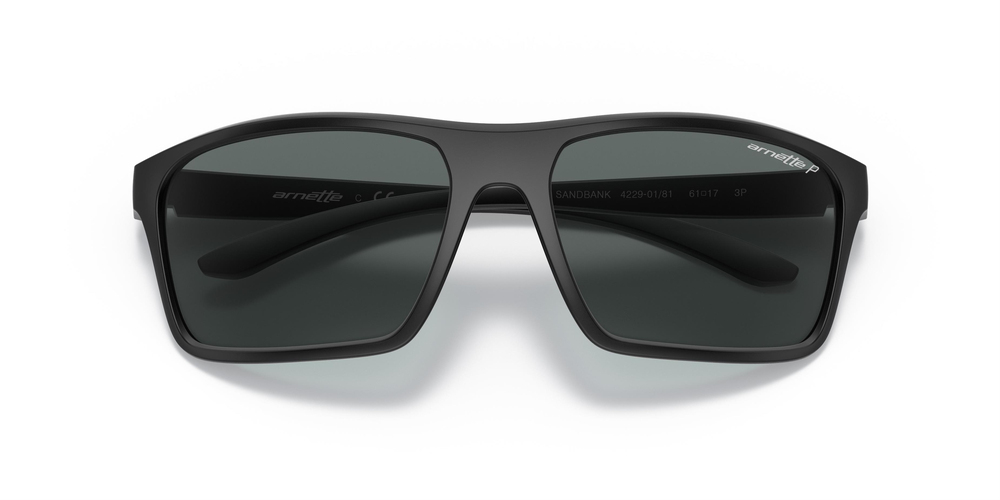 ARNETTE 4229 01/81 61 ERKEK Güneş gözlükleri