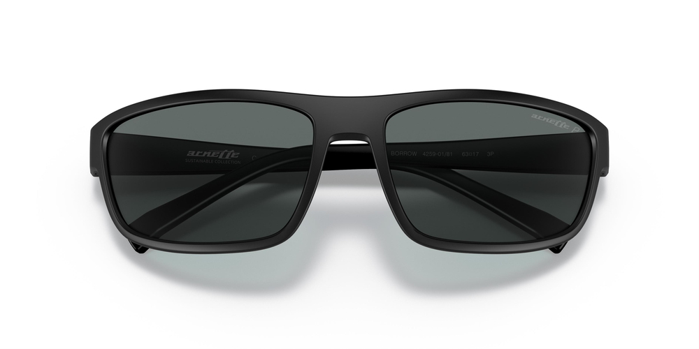 ARNETTE 4259 01/81 63 ERKEK Güneş gözlükleri