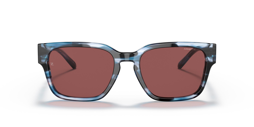ARNETTE 4294 12174X 54 UNİSEX Güneş gözlükleri