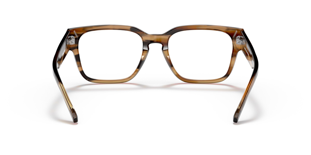 ARNETTE 4294 1218SB 54 UNİSEX Güneş gözlükleri