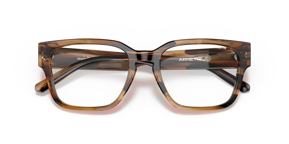 ARNETTE 4294 1218SB 54 UNİSEX Güneş gözlükleri
