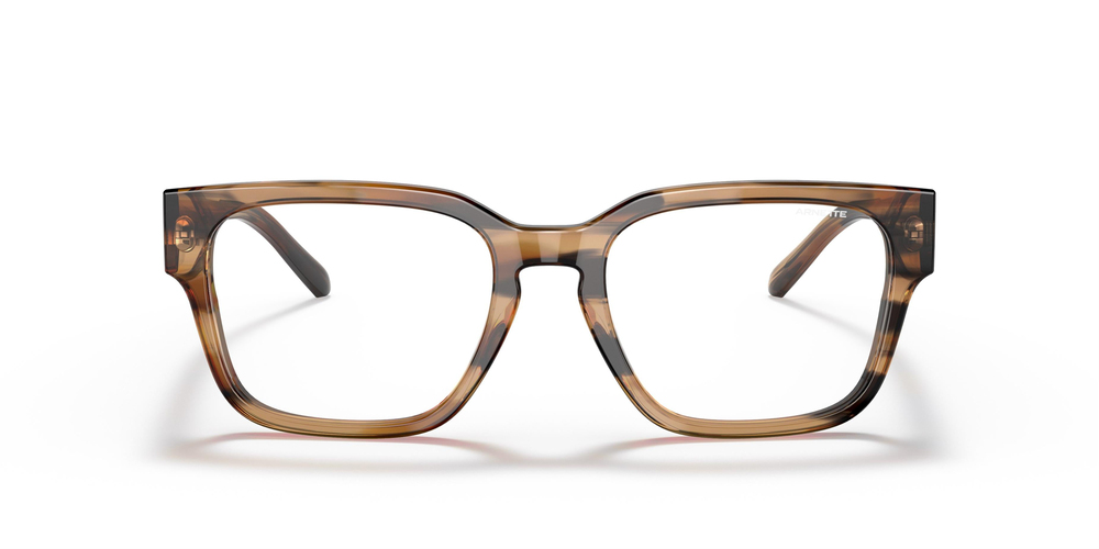 ARNETTE 4294 1218SB 54 UNİSEX Güneş gözlükleri