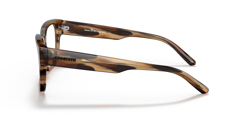 ARNETTE 4294 1218SB 54 UNİSEX Güneş gözlükleri